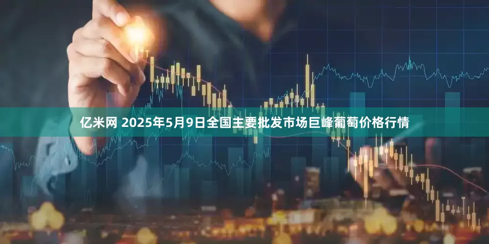 亿米网 2025年5月9日全国主要批发市场巨峰葡萄价格行情