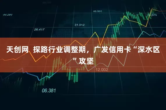 天创网  探路行业调整期，广发信用卡“深水区”攻坚